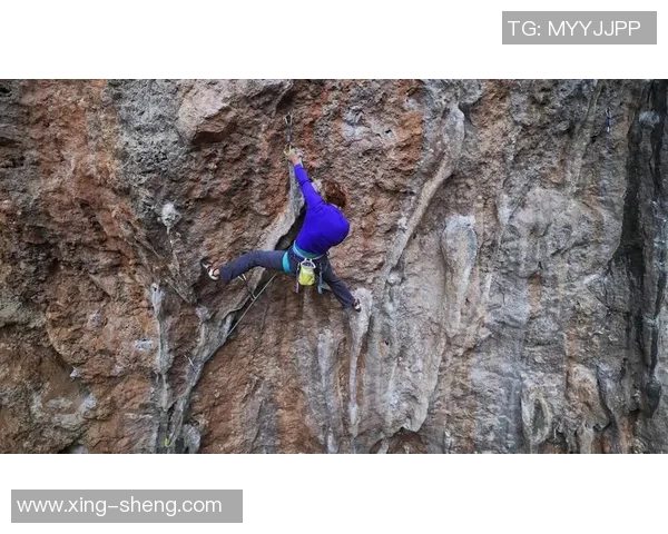 南京攀岩队的团队协作探索与攀登精神的完美结合