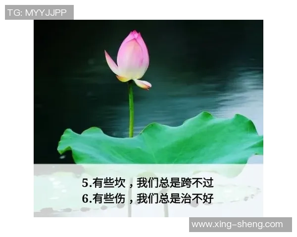 张磊的和平精英人生:从游戏到人生哲学的深度对话与思考 张磊的和平精英人生:从游戏到人生哲学的深度对话与思考